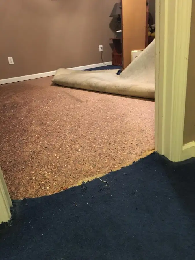 Carpet pad removal revealing water damage during Drying & Dehumidification in Fort Morgan